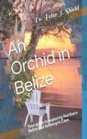 An Orchid in Belize
