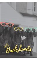 Dachshund Notebook