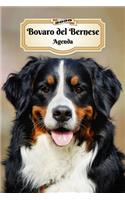 2020 Bovaro del Bernese Agenda: 107 Pagine - Dimensioni DIN A5 - Pianificatore Settimanale - 12 Mesi - Due Pagine Per Settimana - Calendario - Diario - Cane