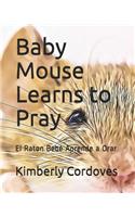 Baby Mouse Learns to Pray