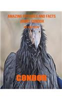 Condor
