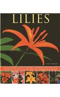 Lilies: An Illustrated Guide to Varieties, Cultivation and Care, with Step-By-Step Instructions and Over 150 Stunning Photographs