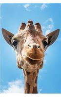 Giraffe Notebook