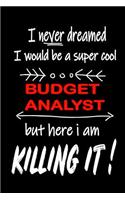 I Never Dreamed I Would Be a Super Cool Budget Analyst But Here I Am Killing It!