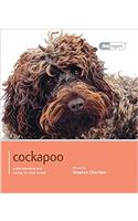 Cockapoo - Dog Expert