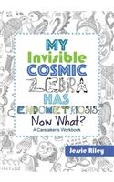 My Invisible Cosmic Zebra Has Endometriosis - Now What?
