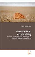 essence of Acountability