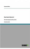 Das Sozial-Apriori: Die Soziologie des Max Adler(German)