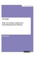 Rolle von Auxinen während der Entwicklung höherer Pflanzen