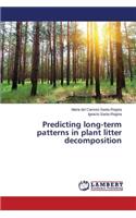 Predicting Long-Term Patterns in Plant Litter Decomposition