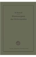 Sinnesorgane Der Arthropoden Ihr Bau Und Ihre Funktion