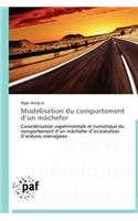 Modélisation Du Comportement D Un Mâchefer
