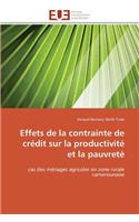 Effets de la Contrainte de Crédit Sur La Productivité Et La Pauvreté