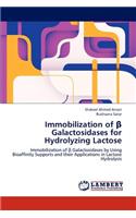 Immobilization of β Galactosidases for Hydrolyzing Lactose