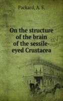 ON THE STRUCTURE OF THE BRAIN OF THE SE