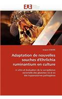 Adaptation de nouvelles souches d''ehrlichia ruminantium en culture