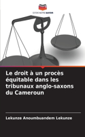 droit à un procès équitable dans les tribunaux anglo-saxons du Cameroun