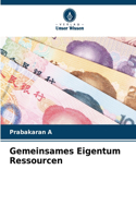 Gemeinsames Eigentum Ressourcen