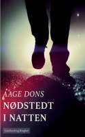 Nødstedt i natten