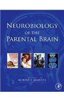 Neurobiology of the Parental Brain