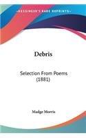 Debris: Selection From Poems (1881)