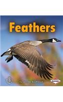 Feathers: (First Step Nonfiction -- Body Coverings)