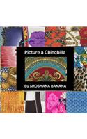 Picture a Chinchilla