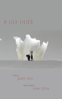 Lily Lilies
