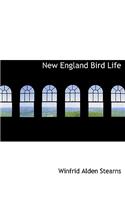 New England Bird Life