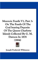 Mesozoic Fossils V1, Part 3