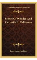 Scenes of Wonder and Curiosity in California