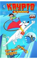 Here Comes Krypto