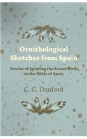 Ornithological Sketches from Spain - Stories of Spotting the Rarest Birds in the Wilds of Spain