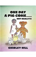 One Day a Pig Come ..... Not Really!!!