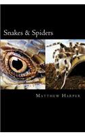 Snakes & Spiders