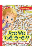 Are We There Yet? A Puzzling Maze Activity Book