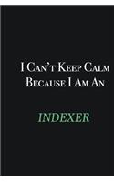 I cant Keep Calm because I am an Indexer: Writing careers journals and notebook. A way towards enhancement