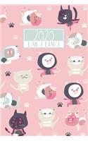 2020 Daily Diary