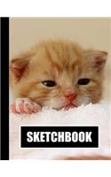 Sketchbook: Cute Kitten Cat Cover Design - White Paper - 120 Blank Unlined Pages - 8.5" X 11" - Matte Finished Soft Cover