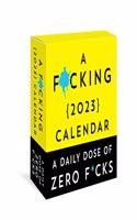 A F*cking 2023 Boxed Calendar