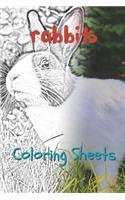 Rabbit Coloring Sheets: 30 Rabbit Drawings, Coloring Sheets Adults Relaxation, Coloring Book for Kids, for Girls, Volume 5