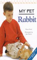 MY PET RABBIT