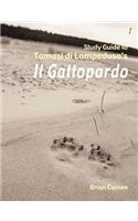 Study Guide to Tomasi Di Lampedusa's 