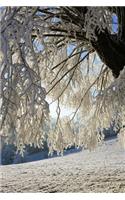 View from a Frost Covered Forest Journal: Take Notes, Write Down Memories in this 150 Page Lined Journal