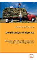 Densification of Biomass