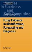 Fuzzy Evidence in Identification, Forecasting and Diagnosis