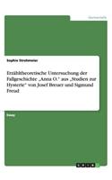 Erzähltheoretische Untersuchung der Fallgeschichte 