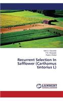 Recurrent Selection in Safflower (Carthamus Tintorius L): (English)