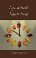 Life Without Instructions