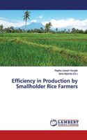 Efficiency in Production by Smallholder Rice Farmers